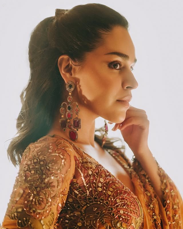 naila grrewal ethnic dress sexy looks