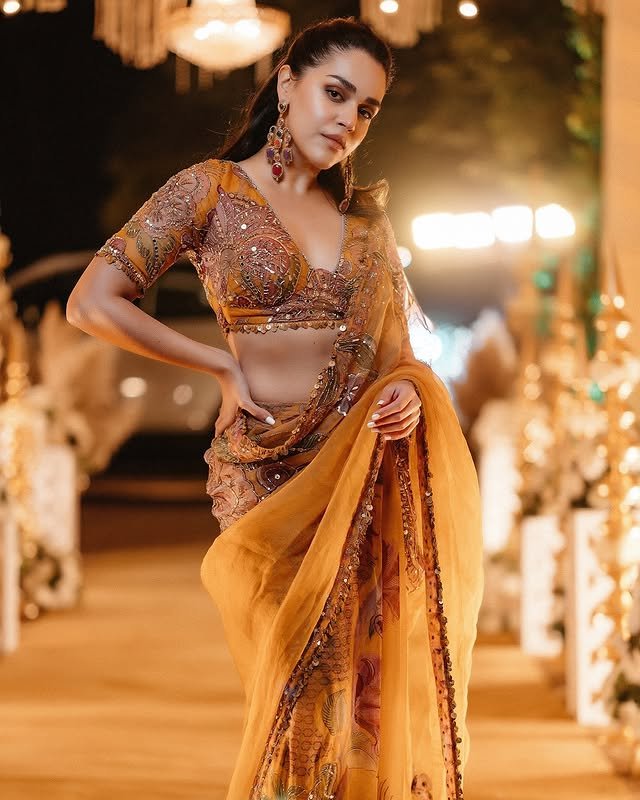naila grrewal hot sexy ethnic saree look